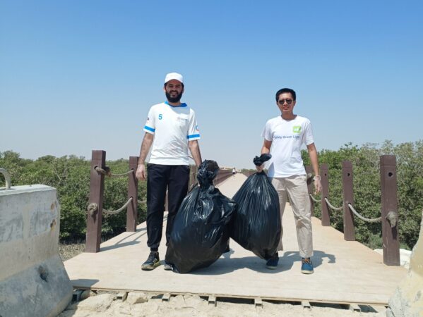 mangrove planting program