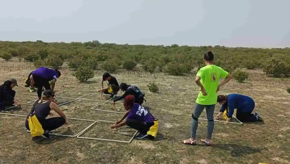 Mangrove-planing-programme