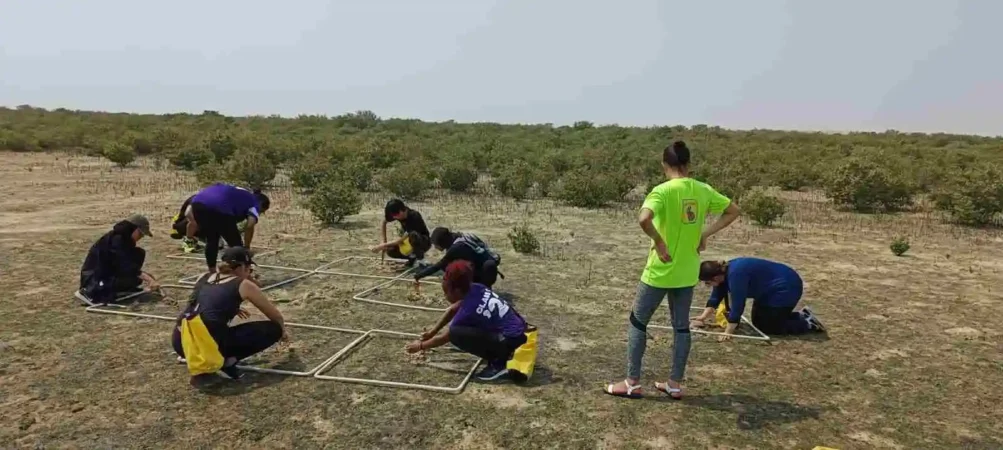 Mangrove-planing-programme