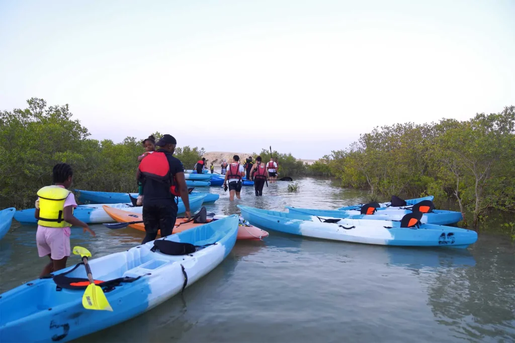 mangroves Qatar,
kayaking in al thakhira