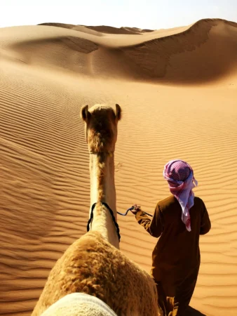 camel race tour qatar desert