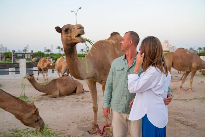 couples enjoying camel race tour qatar