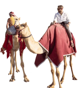 camel-safari-places-to-visit-in-qatar