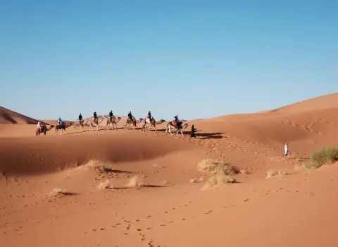 doha bus tour to desert