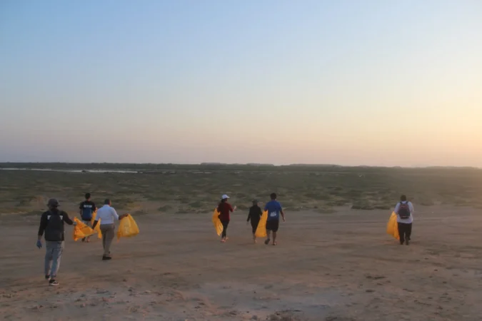 People going for planting program in the mangroves
