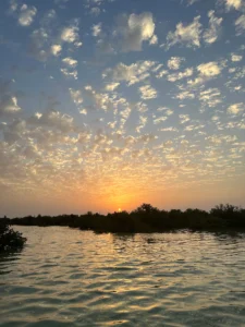Sunrise Kayaking in Qatar – Purple Island Mangrove Experience