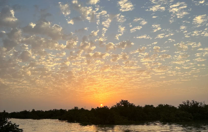 Sunrise Kayaking in Qatar – Purple Island Mangrove Experience