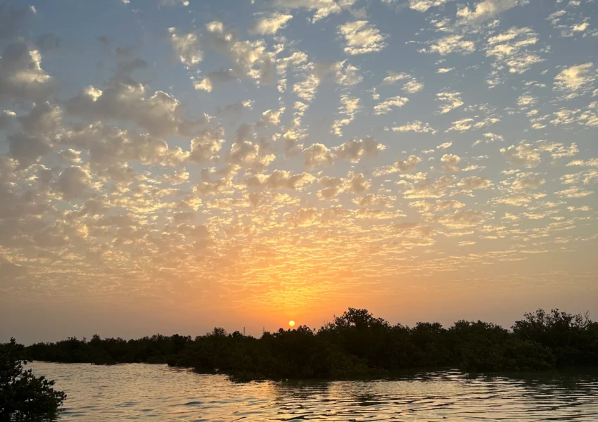 sunrise kayaking in qatar
