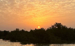 Sunrise Kayaking in Qatar – Purple Island Mangrove Experience