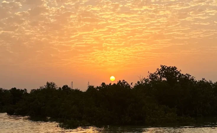sunrise kayaking in qatar