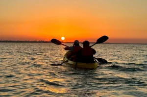 Purple Island Sunset Kayaking in Qatar 2026