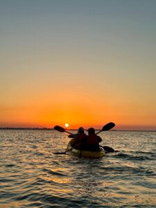 Mangroves Qatar—Discover Best Kayaking In Al Thakira