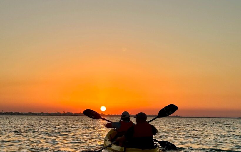 Mangroves Qatar—Discover Best Kayaking In Al Thakira
