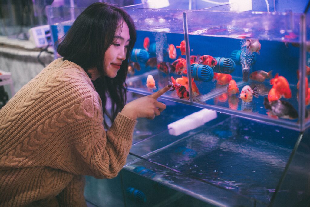 Aquarioum shops in qatar