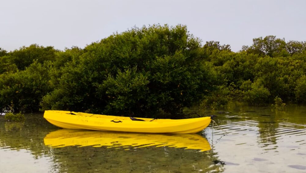 kayak rental near me in doha qatar