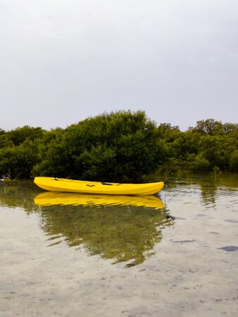 kayak rental near me in doha qatar
