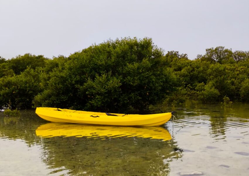 kayak rental near me in doha qatar